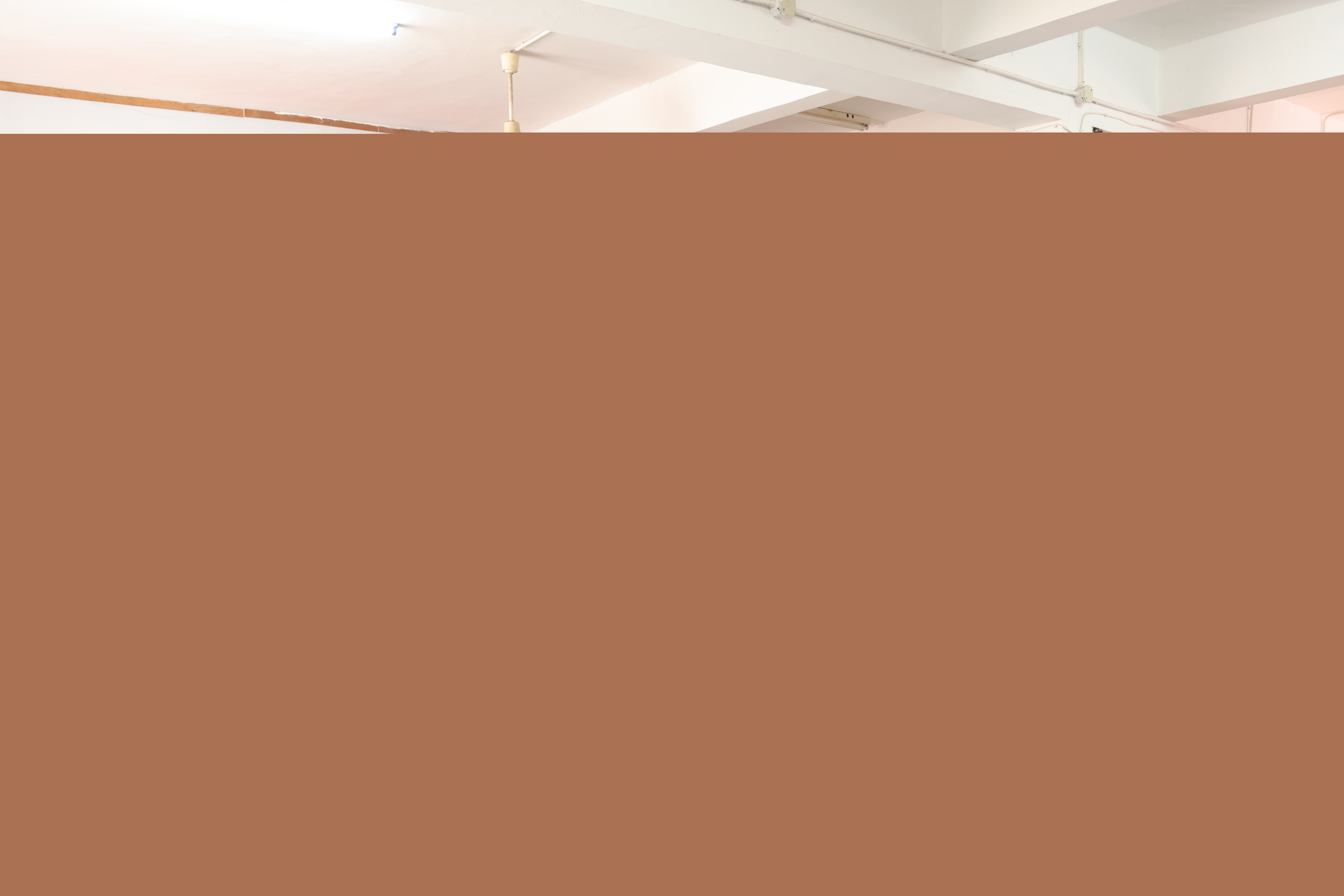 義務獻血 (4).jpg